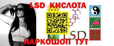 прущие грибы Донской