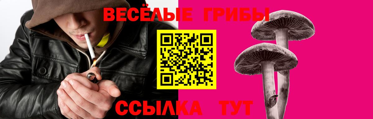 Псилоцибиновые грибы мухоморы Чехов