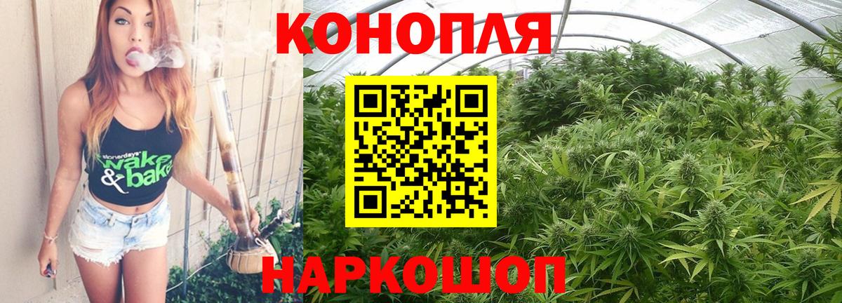 Марихуана планчик  Марихуана марихуана  Чехов  Вход с VPN  МАРИХУАНА LSD WEED  Бошки марихуана семена 